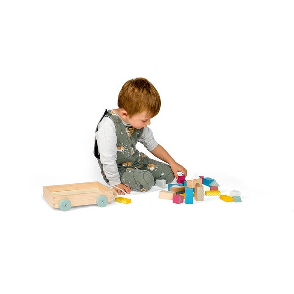 Bigjigs Toys FSC Brick Cart Carousel 6