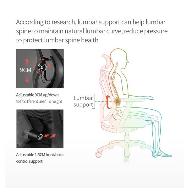 Sihoo V1 Ergonomic Office Chair (Dark Gray) (Legrest) Carousel 2