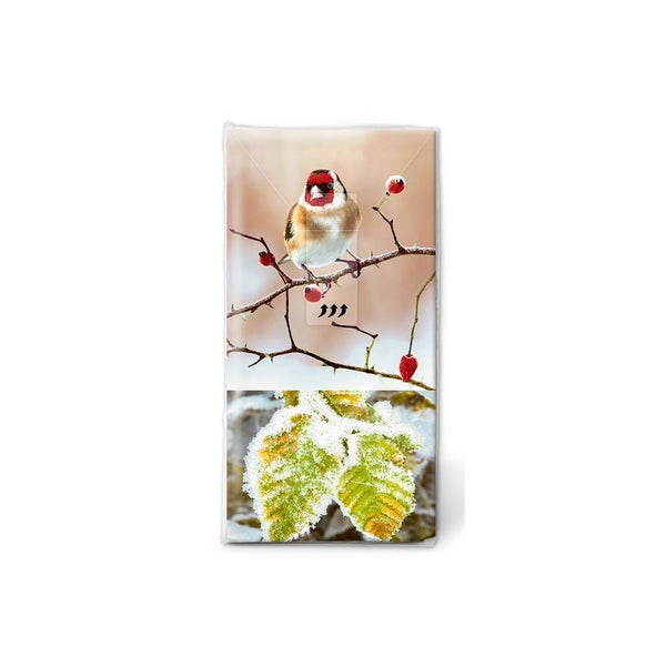 Tissues - Saison Dhiver Carousel 1