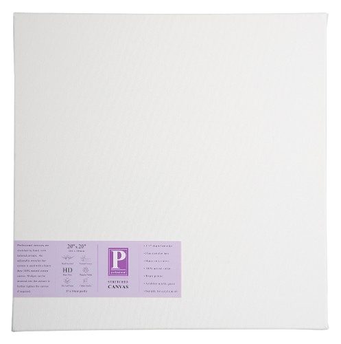 1.5 Professional Heavy Duty Canvas 20x20(Inches) Carousel 2