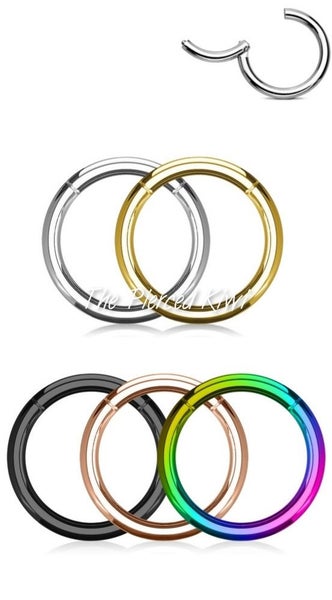 18g Hinged Segment Ring. 8 mm. 5 Colours available. Carousel 1