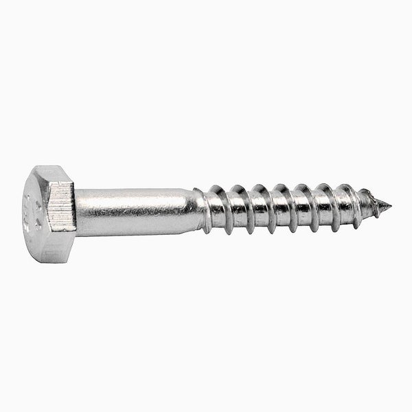 Coach Screw SS316 M10x40mm Carousel 1