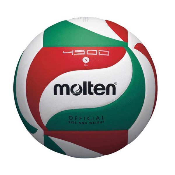 Volleyball V5M4500 Carousel 1