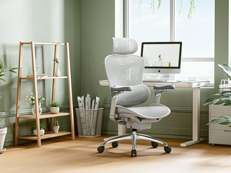 Sihoo A3 DORO C300 PRO Ergonomic Chair Light Grey Carousel 1
