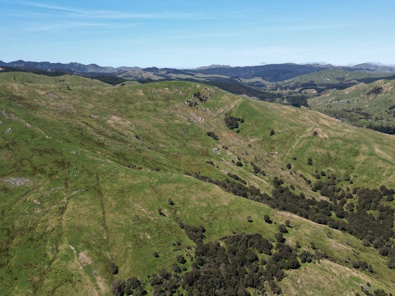 Image 1 of 19