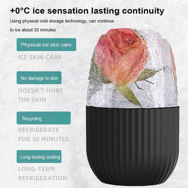 Ice Roller New Carousel 2