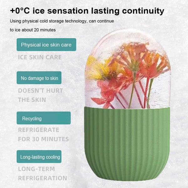 Ice Roller New Carousel 2