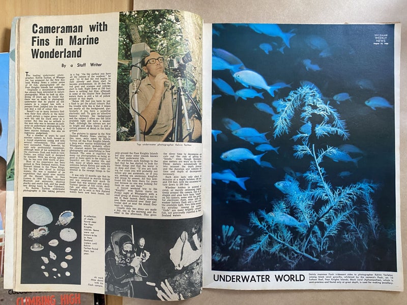 OLD NEWSPAPER: New Zealand Weekly News - No. 5359, 10 August 1966 Carousel 4