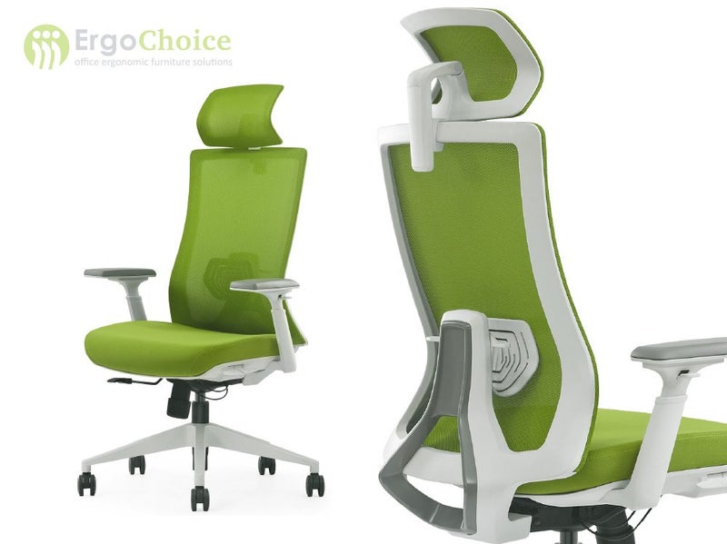 Ergonomic Office Chair Carousel 2