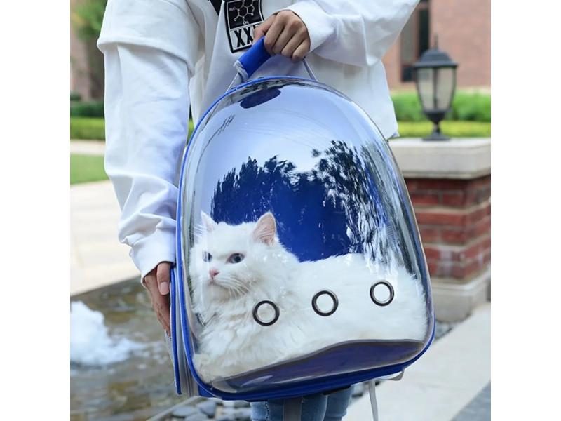 Cat Carrier Dog Carrier Carousel 2