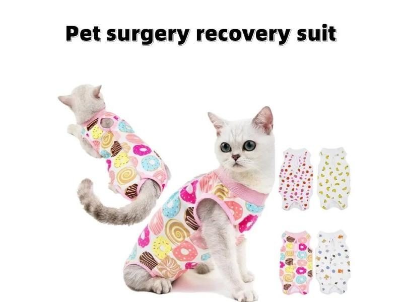Cat Clothing Carousel 2