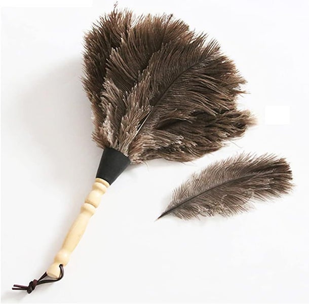 Dusting Brush Duster Carousel 1
