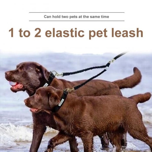 Reflective Dual Dog Leash - No Tangle Bungee Lead for Safety and Training Carousel 1
