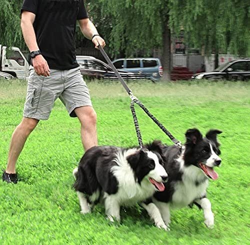 Reflective Dual Dog Leash - No Tangle Bungee Lead for Safety and Training Carousel 2
