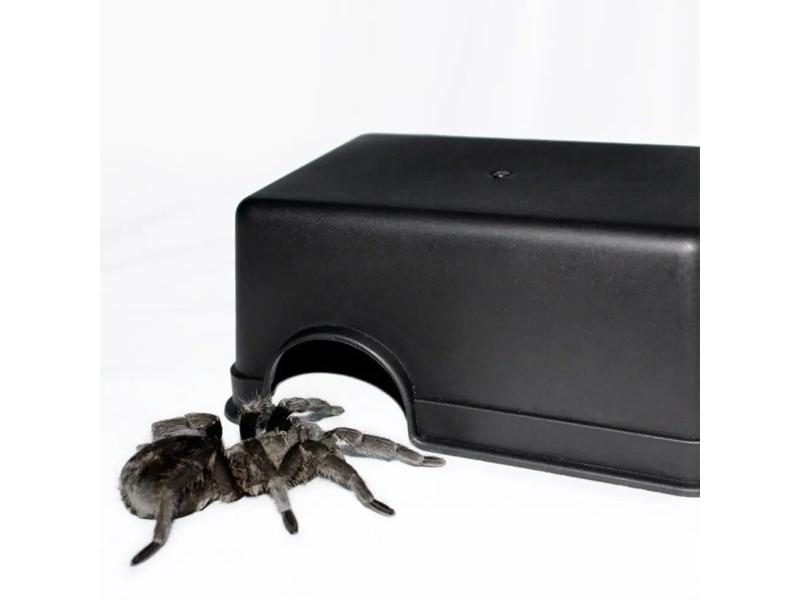 Small Reptiles Pets Dodging Box Cave Snake Gecko Shelter House Cave Climbing Carousel 2