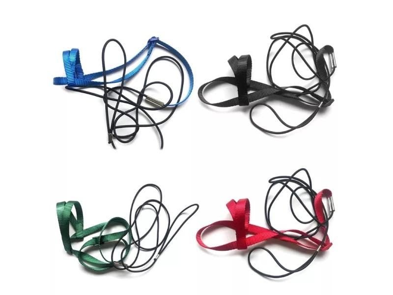 Parrot Bird Harness Leash Outdoor Activities Flying Traction Straps Band Flying Carousel 2