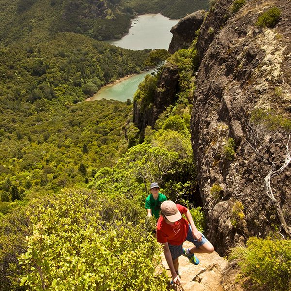 Day Walks In New Zealand, by Shaun Barnett Carousel 3