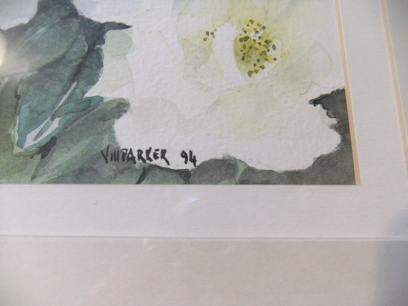 A fabulous ORIGINAL Watercolour of white ( Iceberg?) Roses62854319852033113