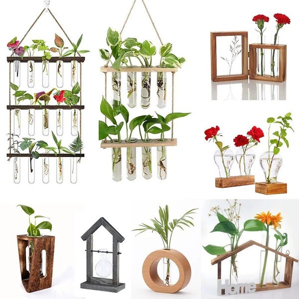 Wall Hanging Glass Planter Ins Terrarium Flower Bud Vase with Wooden Test CHK12N Carousel 2