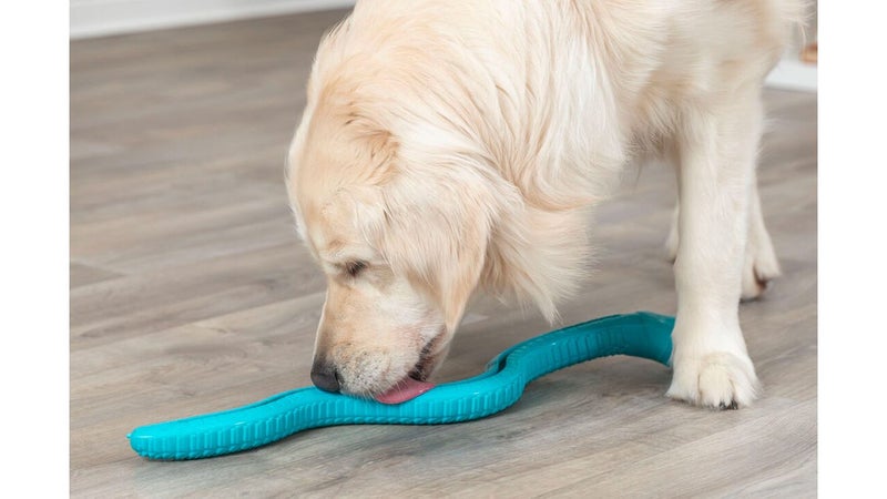 Snack-Snake 59cm Carousel 2