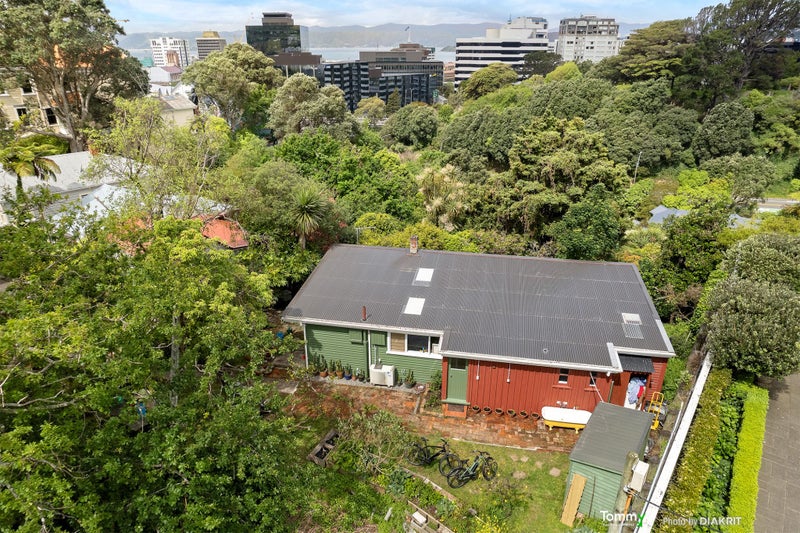 Image 1 of 16