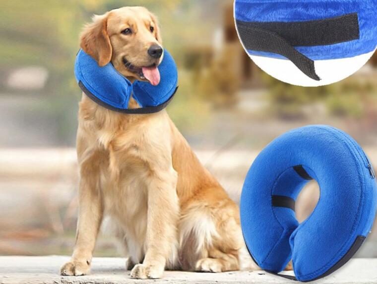 Protective Inflatable Collar for Dogs and Cats Carousel 1