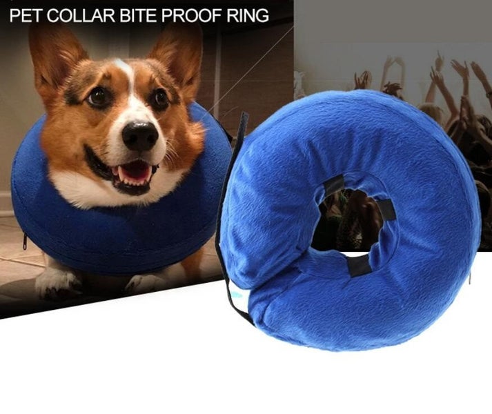 Protective Inflatable Collar for Pet Carousel 1
