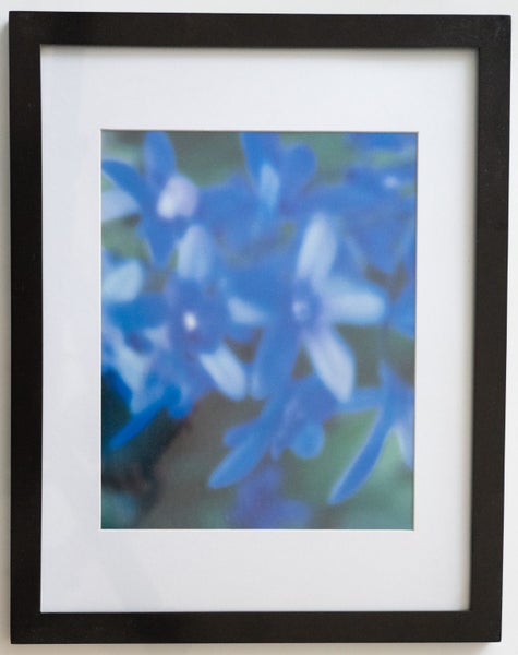Framed Print: Blue florals (39x31cm)63615606698883112