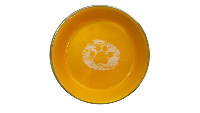 Cat Dish - Durabolz Cat Dish - Yellow Carousel 1
