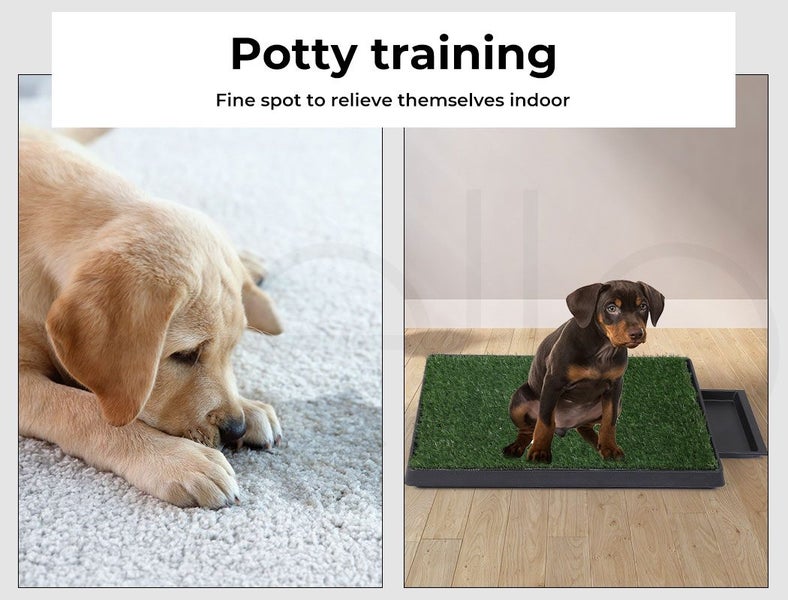 Pawz Indoor Dog Potty Training Tray Pet Grass Toliet Loo 2x Mat Large Portable Carousel 2
