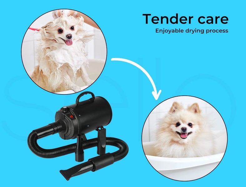 Dog Cat Pet Hair Dryer Grooming Blow Speed Hairdryer Blower Heater Blaster 2800W Carousel 2