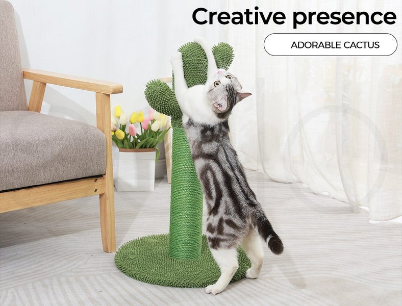 Cactus Cat Scratching Posts Pole Tree Kitten Climbing Scratcher Furniture Toys Carousel 2