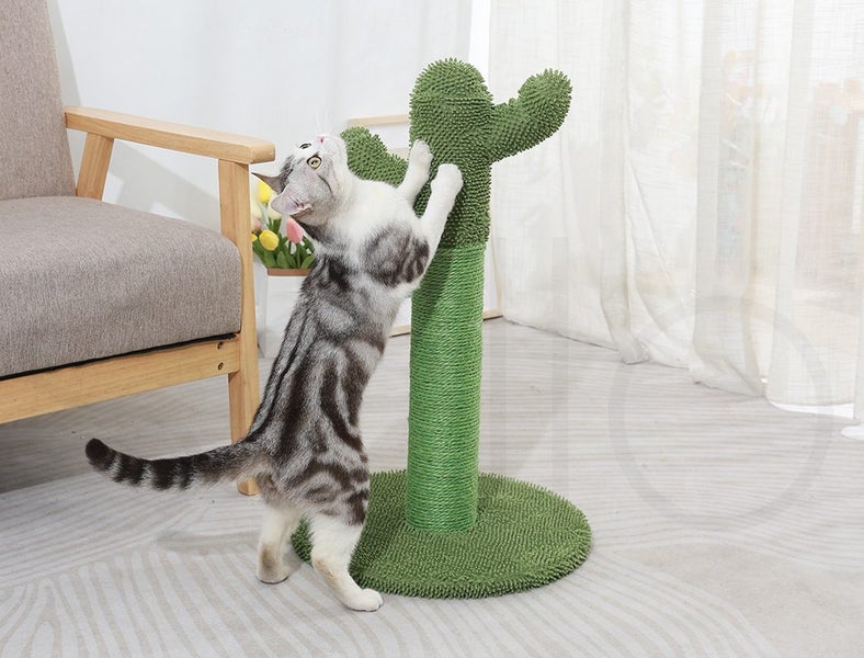 Cactus Cat Scratching Posts Pole Tree Kitten Climbing Scratcher Furniture Toys Carousel 8