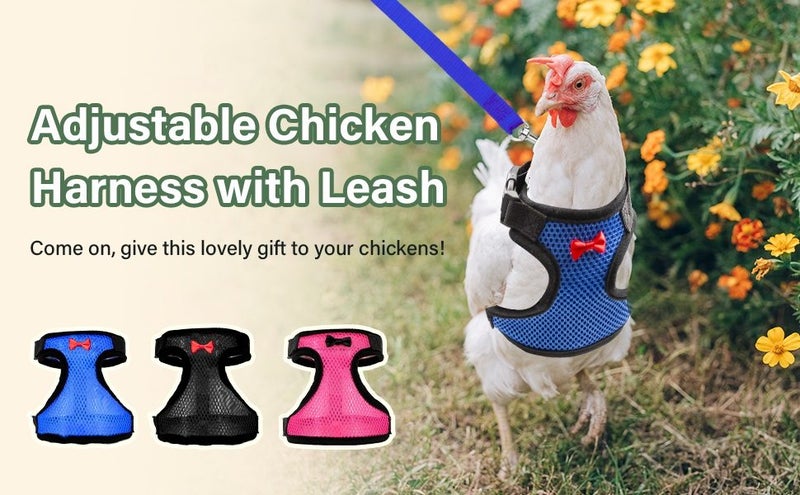 Chicken Harness with Leash,Upgraded Double Adjustment Chicken Harness and Leash Carousel 2