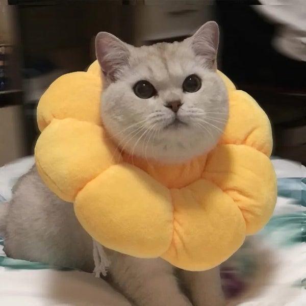 Pet Collar Anti-Bite Surgery Anti-Lick Wound Healing Protection Sunflower CHK12N Carousel 21