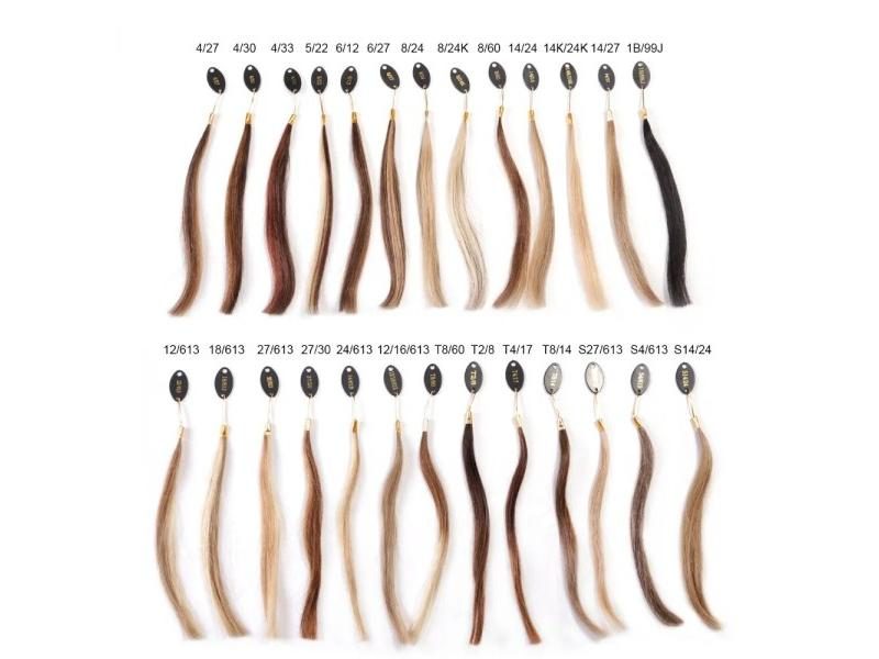 Neitsi Human Hair 85 Color Rings/Charts For Hair Extensions Dyeing Carousel 1