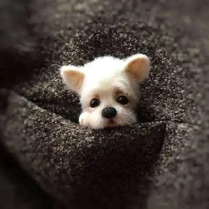 Non finished Relaxed DIY KIT Handmade Pocket Animal Pet Doll Toy Wool Nee CHK12N Carousel 1