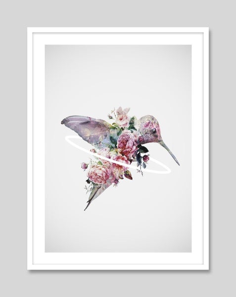 Kolibri by Daniel Taylor A2 Art Print Framed (White) Carousel 5