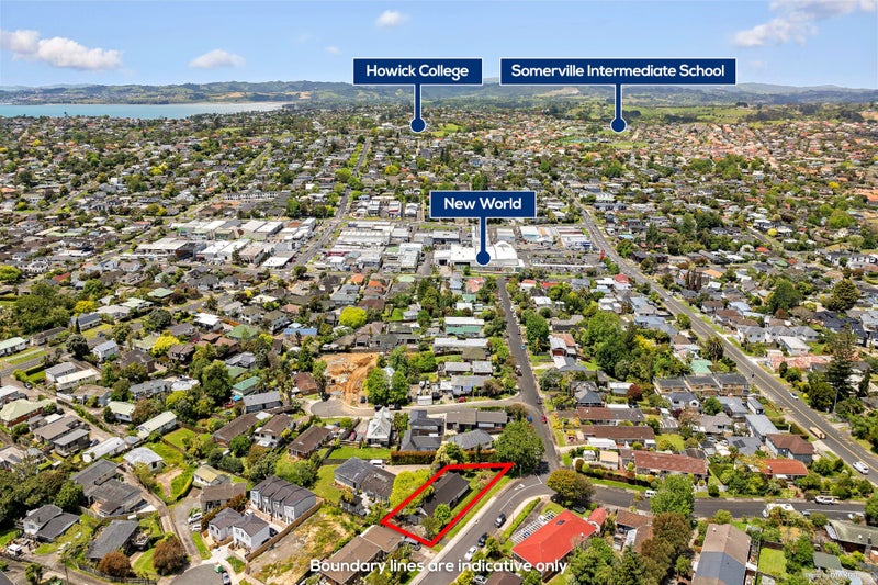 Image 1 of 20