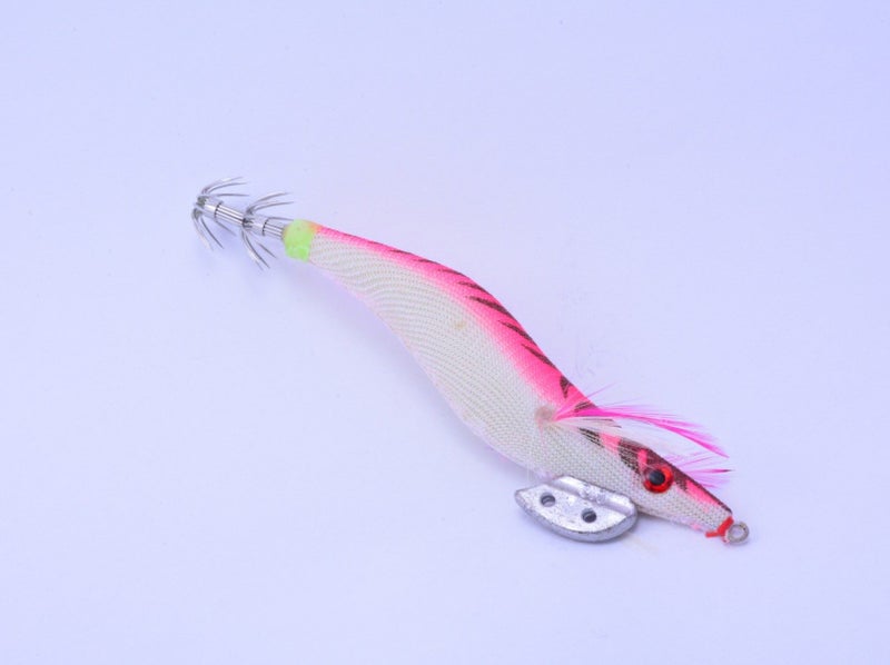 Squid Jig 30DL Carousel 2