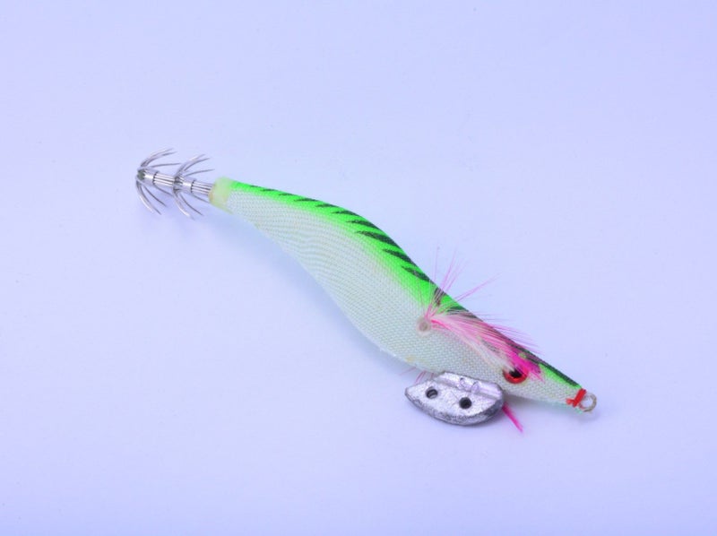 Squid Jig 30FL Carousel 2