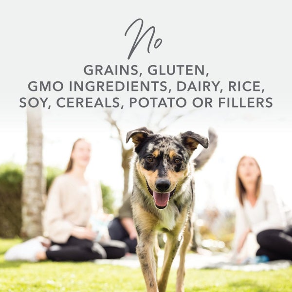 K9 Natural Grain-Free Freeze-Dried Dog Food - Chicken Carousel 2