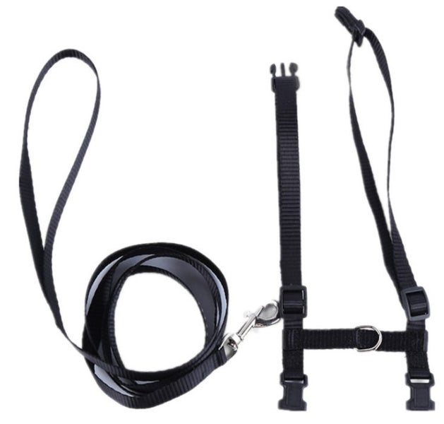 Leash For Pet Kitten Harness Collar Carousel 1