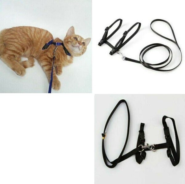 Leash For Pet Kitten Harness Collar Carousel 2