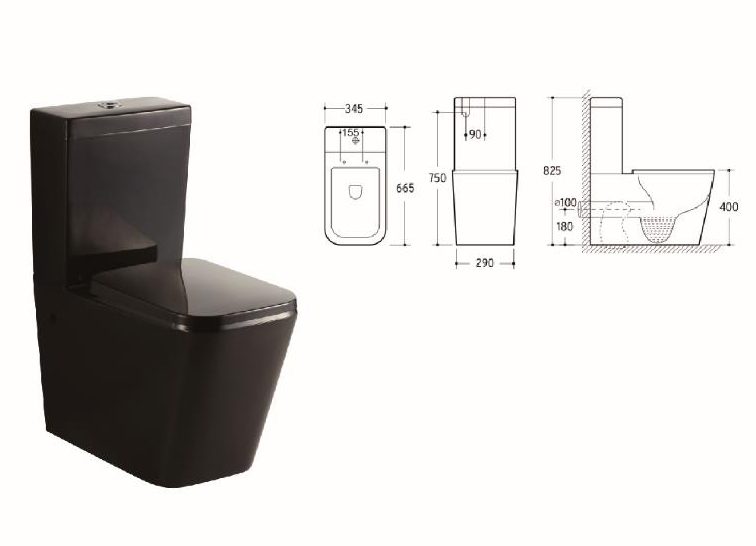 ***Black*** Back to Wall Toilet in Black Carousel 1
