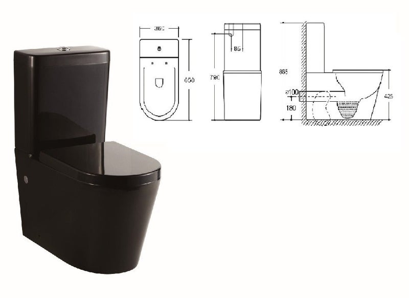 ***Black*** Back to Wall Toilet in Black Carousel 1