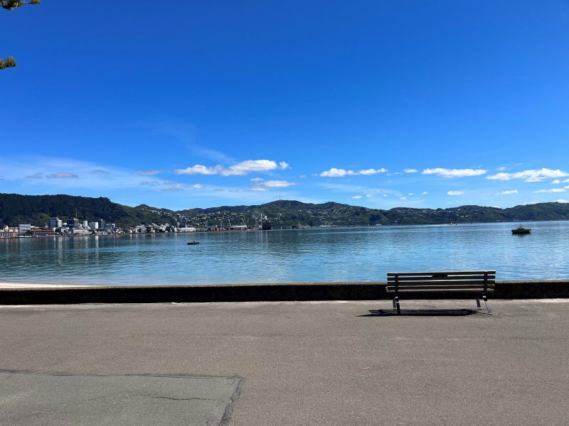 Image 1 of 23