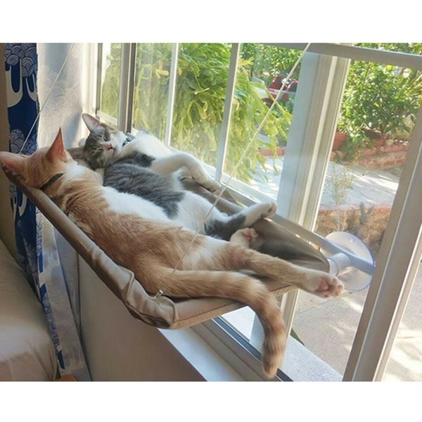 Cat Bed Window Mounted - Window Cat Bed - Cat Bed Carousel 11