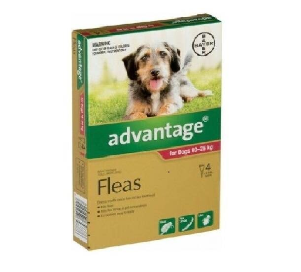 Advantage Flea Treatment For Dogs 10-25kg 4PK Carousel 1