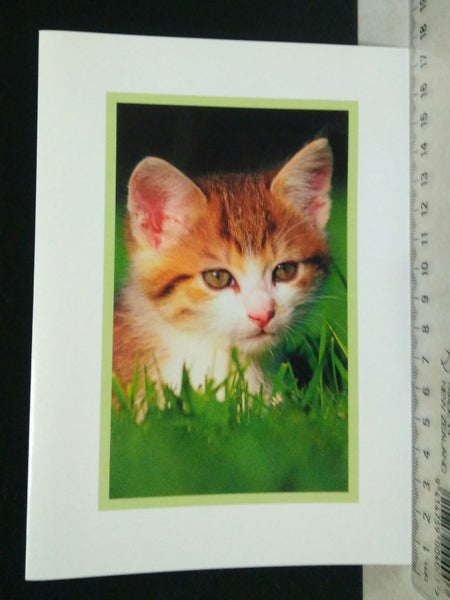 2 Blank greeting cards Carousel 1